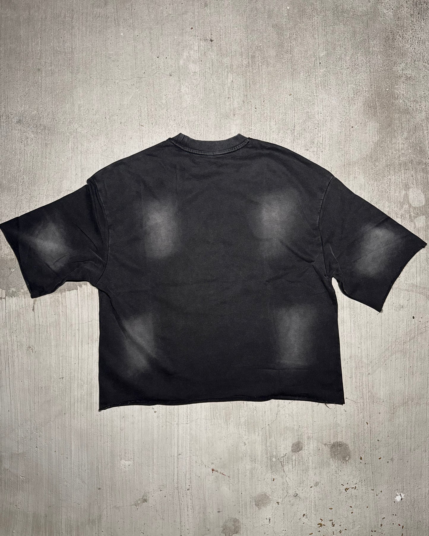 Either Way “Tewb Puff” Faded Cropped Distressed T